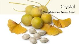  Presentation with ginkgo - Amazing presentation design having ripe yellow ginkgo biloba fruit backdrop and a blonde colored foreground