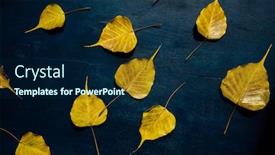  Presentation with leaves - Beautiful presentation design featuring ripened-yellow-peepal-leaves-scattered backdrop and a navy blue colored foreground