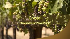  Presentation with napa - Slides having ripening red grapes on the vine in a vineyard in napa valley california background and a tawny brown colored foreground