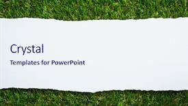  Presentation with grass - Beautiful PPT layouts featuring ripped paper on green grass backdrop and a sky blue colored foreground