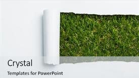  Presentation with rip paper - Colorful PPT theme enhanced with ripped paper on green grass backdrop and a white colored foreground