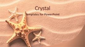  Presentation with fish beach - PPT layouts having paradise 3 - sea star fish background and a lemonade colored foreground