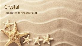  Presentation with ripples - Presentation enhanced with ripples in the sand tree background and a lemonade colored foreground