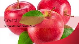  Presentation with green apples - Presentation theme having riripe-red-apples-with-green background and a red colored foreground