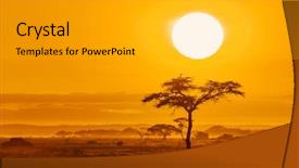  Presentation with sun rise - Beautiful presentation featuring rises over the acacia tree backdrop and a light gray colored foreground