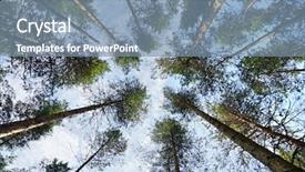  Presentation with pine trees - PPT theme featuring amoeba cells - axenic icon with bonus design background and a sky blue colored foreground