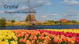 Presentation with windmills - Presentation design having windmills and flowers in netherlands background and a light blue colored foreground