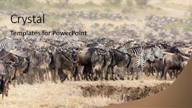  Presentation with great migration - Colorful presentation design enhanced with river during the great migration backdrop and a soft green colored foreground