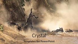  Presentation with great migration - Audience pleasing theme consisting of river during the great migration backdrop and a coral colored foreground