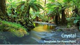  Presentation with river forest - Amazing slides having river flows softly through temperate backdrop and a ocean colored foreground