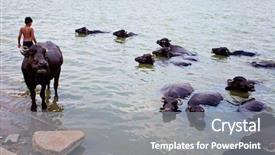  Presentation with varanasi - PPT layouts featuring river ganga varanasi india background and a gray colored foreground