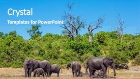  Presentation with african river - Cool new slides with river okavango shore botswana chobe backdrop and a teal colored foreground