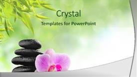  Presentation with spirituality zen meditation stone - Presentation theme having river rocks - zen basalt stones and orchid background and a mint green colored foreground
