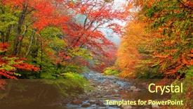  Presentation with stream - Audience pleasing presentation consisting of leaves mist - running water stream in rural backdrop and a tawny brown colored foreground