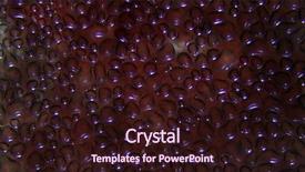  Presentation with rna - Colorful presentation design enhanced with rna - microscopic view of human blood backdrop and a wine colored foreground