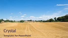 Presentation with agriculture field - Cool new slides with ro - agriculture landscape with field backdrop and a yellow colored foreground