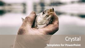  Presentation with fisherman - Colorful slide set enhanced with roach in fisherman's hand backdrop and a coral colored foreground
