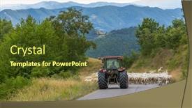  Presentation with blocked - PPT theme having road-blocked-by-herd background and a tawny brown colored foreground