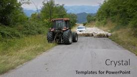  Presentation with blocked - Slide deck consisting of road-blocked-by-herd background and a light gray colored foreground