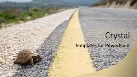  Presentation with tortoise - PPT layouts with road close - tortoise and yellow traffic lane background and a lemonade colored foreground