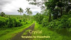  Presentation with tropical forest - Slides having road-deep-in-the-tropical background and a tawny brown colored foreground