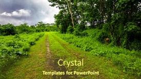  Presentation with tropical forest - Audience pleasing theme consisting of road-deep-in-the-tropical backdrop and a tawny brown colored foreground