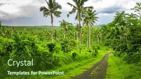  Presentation with tropical forest - PPT layouts featuring road-deep-in-the-tropical background and a tawny brown colored foreground