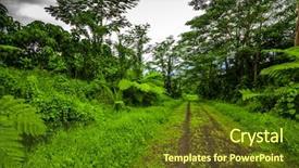  Presentation with tropical forest - Slides with road deep in the tropical background and a tawny brown colored foreground