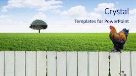  Presentation with farm - PPT theme having road farm - white fence and green grass background and a light blue colored foreground