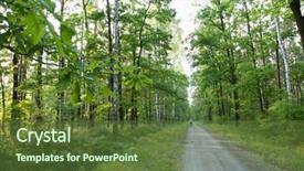  Presentation with forest road - Colorful presentation design enhanced with road-in-deep-forest backdrop and a tawny brown colored foreground