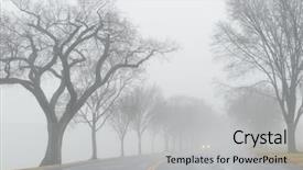  Presentation with autumn morning - Amazing slide set having white fir in between graft backdrop and a white colored foreground