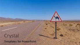  Presentation with camel - Theme with road-in-morocco-with-camel background and a coral colored foreground