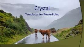  Presentation with hazard - Theme featuring road in norway scandinavia - animal background and a sky blue colored foreground