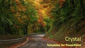  Presentation with forest road - Presentation theme enhanced with road-in-orange-forest background and a tawny brown colored foreground