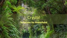  Presentation with jungle - Presentation design featuring road-in-remote-jungle background and a tawny brown colored foreground