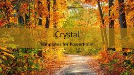  Presentation with forest road - Cool new PPT theme with road in the autumn forest backdrop and a  colored foreground