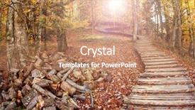  Presentation with road yellow - Colorful slides enhanced with road in the autumn forest backdrop and a coral colored foreground