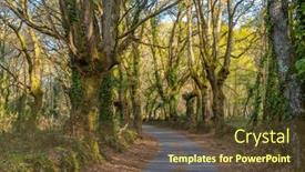  Presentation with pilgrimage - Slide deck consisting of road-in-the-camino-de background and a tawny brown colored foreground