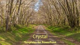  Presentation with forest road green - PPT layouts consisting of road-in-the-camino-de background and a tawny brown colored foreground