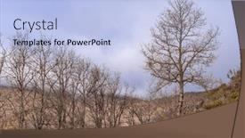  Presentation with forest road green - Presentation featuring road-in-the-camino-de background and a light blue colored foreground