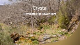  Presentation with forest road green - Slide deck enhanced with road-in-the-camino-de background and a gray colored foreground