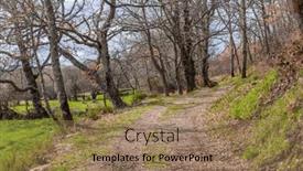  Presentation with forest road green - Slide deck enhanced with road-in-the-camino-de background and a coral colored foreground