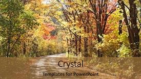  Presentation with country fall - PPT layouts having road in the fall forest background and a coral colored foreground