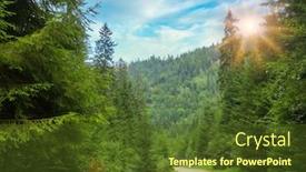  Presentation with forest road - Colorful slide deck enhanced with road-in-the-romanian-carpathian backdrop and a tawny brown colored foreground