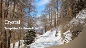  Presentation with forest winter - Presentation theme with road in the winter forest near guarda village lower engadine graubunden switzerland background and a violet colored foreground