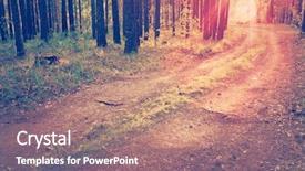  Presentation with woods - Audience pleasing PPT theme consisting of road in the woods retro backdrop and a  colored foreground