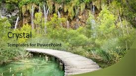  Presentation with forest road - Audience pleasing PPT theme consisting of road in to deep forest backdrop and a yellow colored foreground