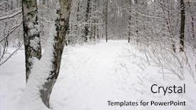  Presentation with winter and transition - Audience pleasing slide deck consisting of road less travelled - winter trope backdrop and a white colored foreground