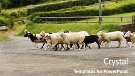 Presentation design enhanced with Road ring of kerry background