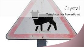  Presentation with attention - Amazing theme having road-sign-attention-the-cows backdrop and a white colored foreground